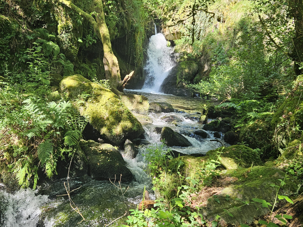 Ruta polas Fragas, Soutos e Carballeiras de Brión