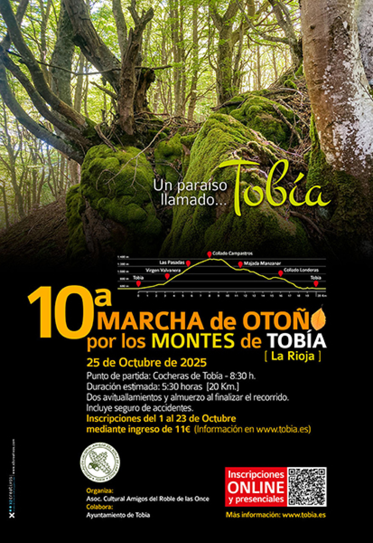 DECIMA MARCHA DE OTOÑO POR LOS MONTES DE TOBIA